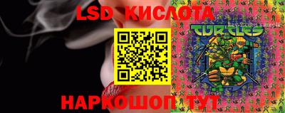 винт Донской