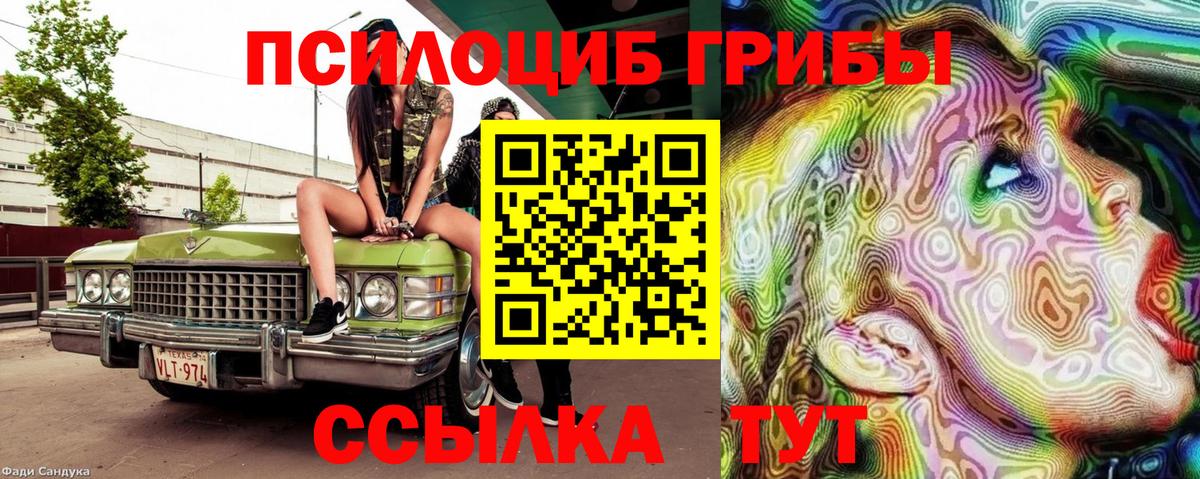 Галлюциногенные грибы прущие грибы  Вход с VPN  Дальнегорск 